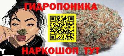 стафф Бугуруслан