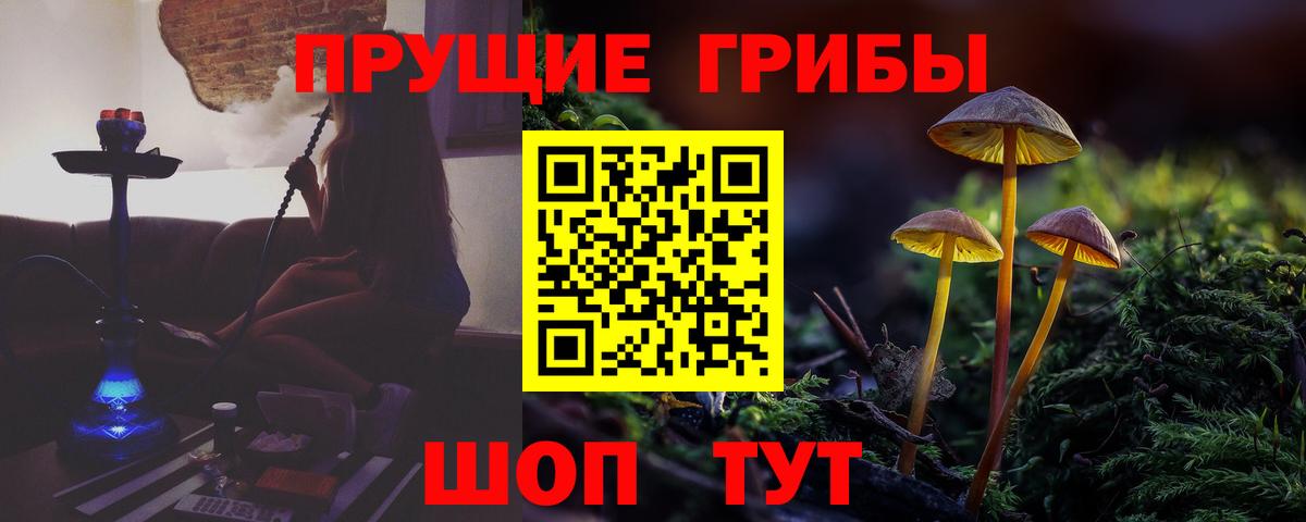 Псилоцибиновые грибы Psilocybine cubensis Бутурлиновка